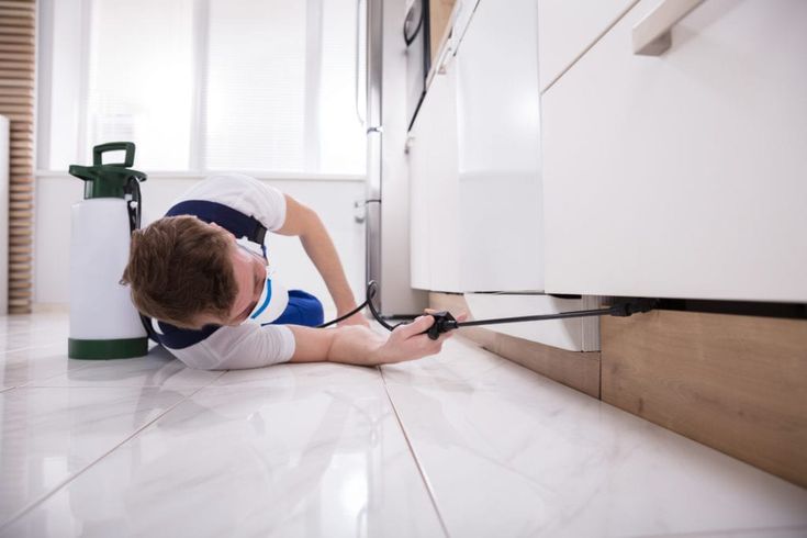 bugzero pest management provides bedbug pest…