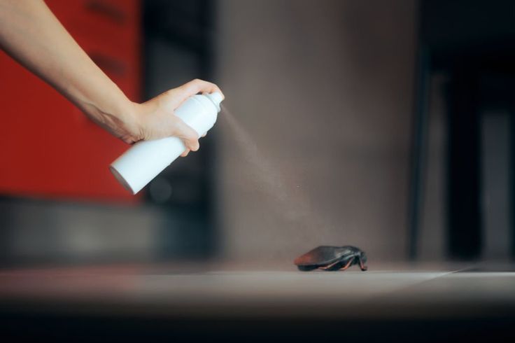 PestGuard Solutions, we focus on proactive pest control Treatment for Cockroaches