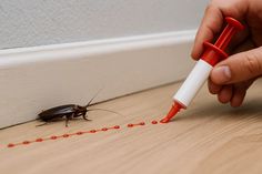 eco friendly pest control do this in 30 minutes 