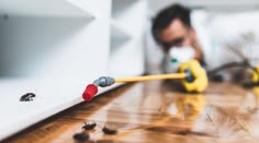 pest control Treatment in workspace